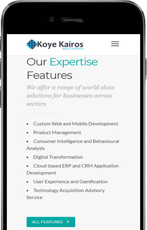 Our Expertise Visual